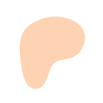 Patreon Icon