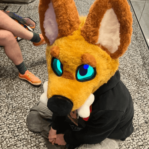 Luhrak sitting on the floor with his bone in his maw