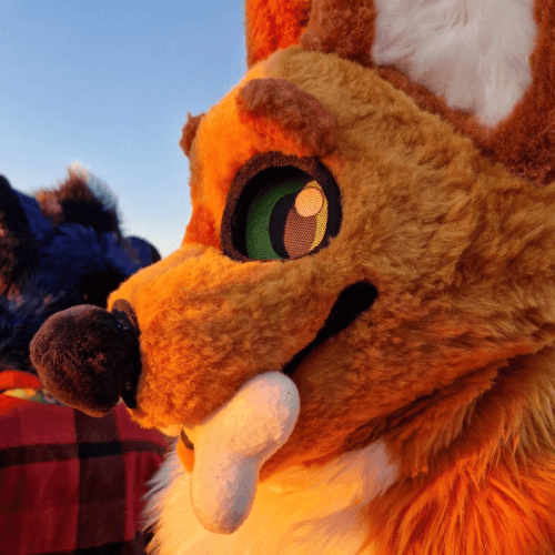 Sideprofile closeup of Luh outside with sunset light